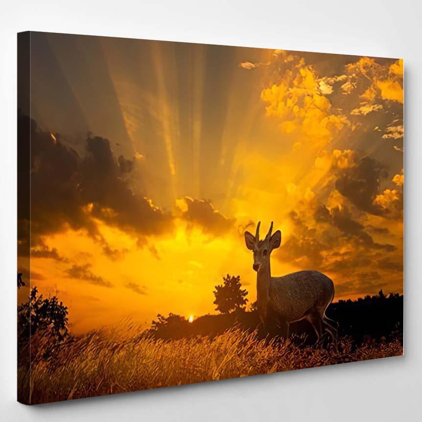 Sihouette Deer Stands On Grass Forest – Deer Animals Canvas Print