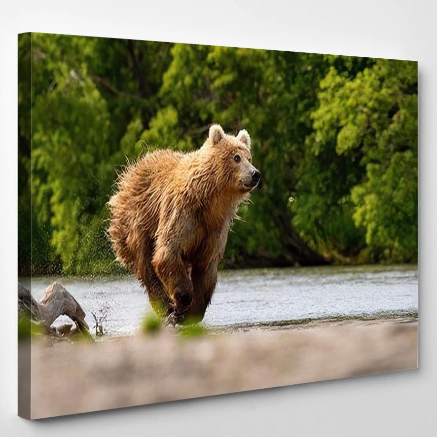 Ursus Arctos Beringianus Catches Salmons Kuril – Bear Animals Canvas Print