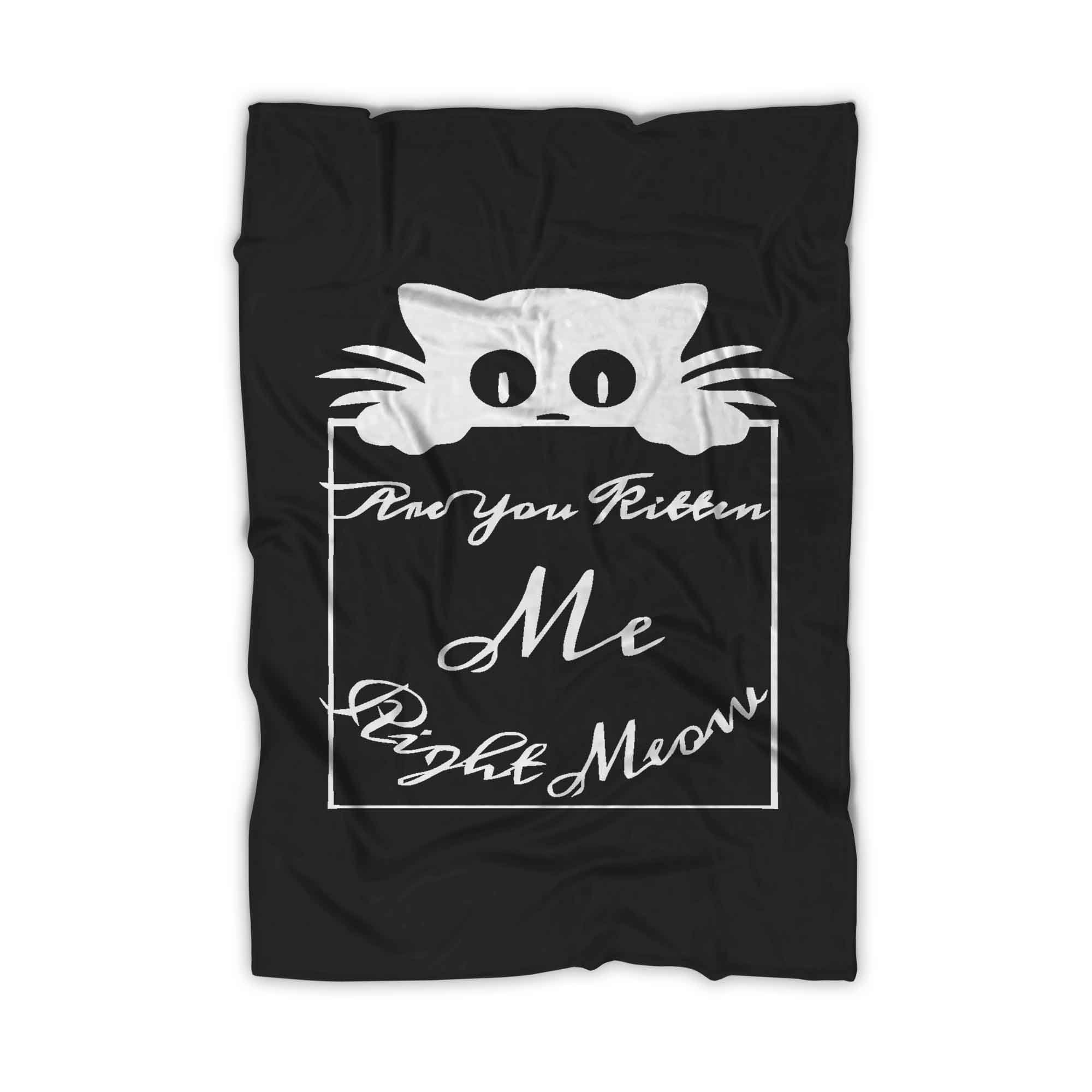 Are You Kitten Me Right Meow Lee Blanket