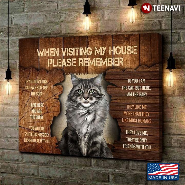 vintage maine coon cat when visiting my house please remember if you don’t like cat hair poster canvas