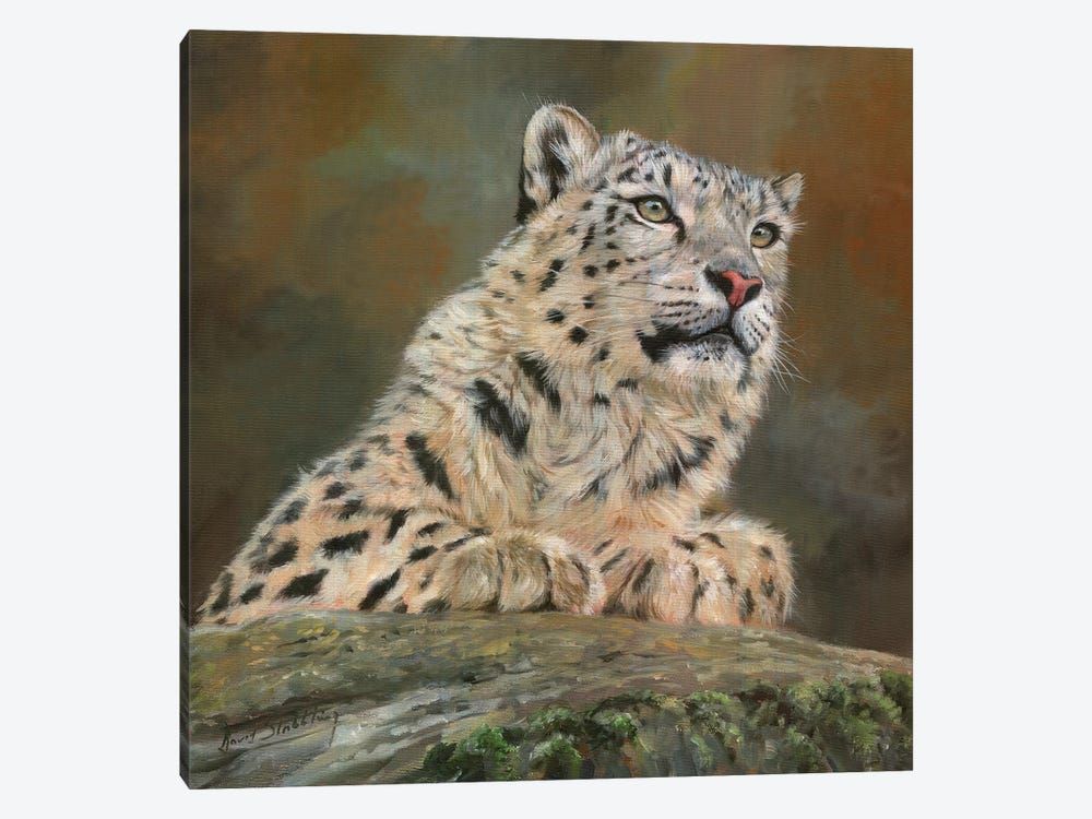 Snow Leopard On Rock Canvas Poster 8″x12″ 12×18″ 18″x26″ 24″x36″ 30″x45″