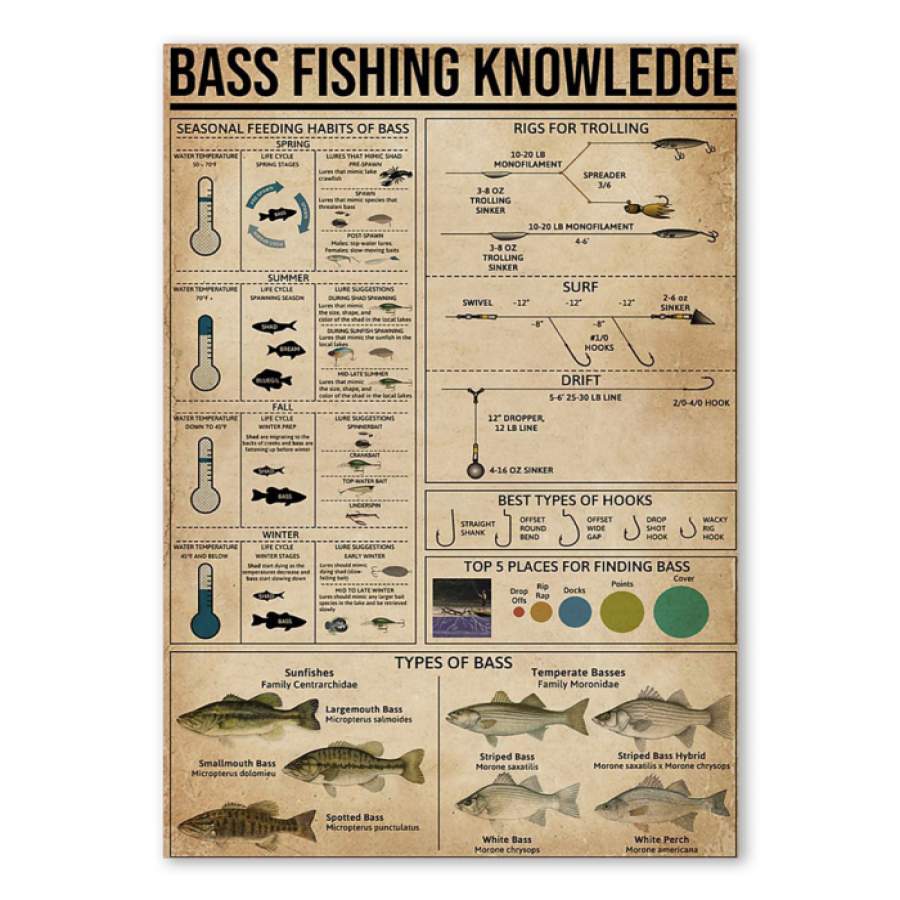 Bass Fishing Knowledge Special Custom Design Poster  Gift  For Fishing Lovers