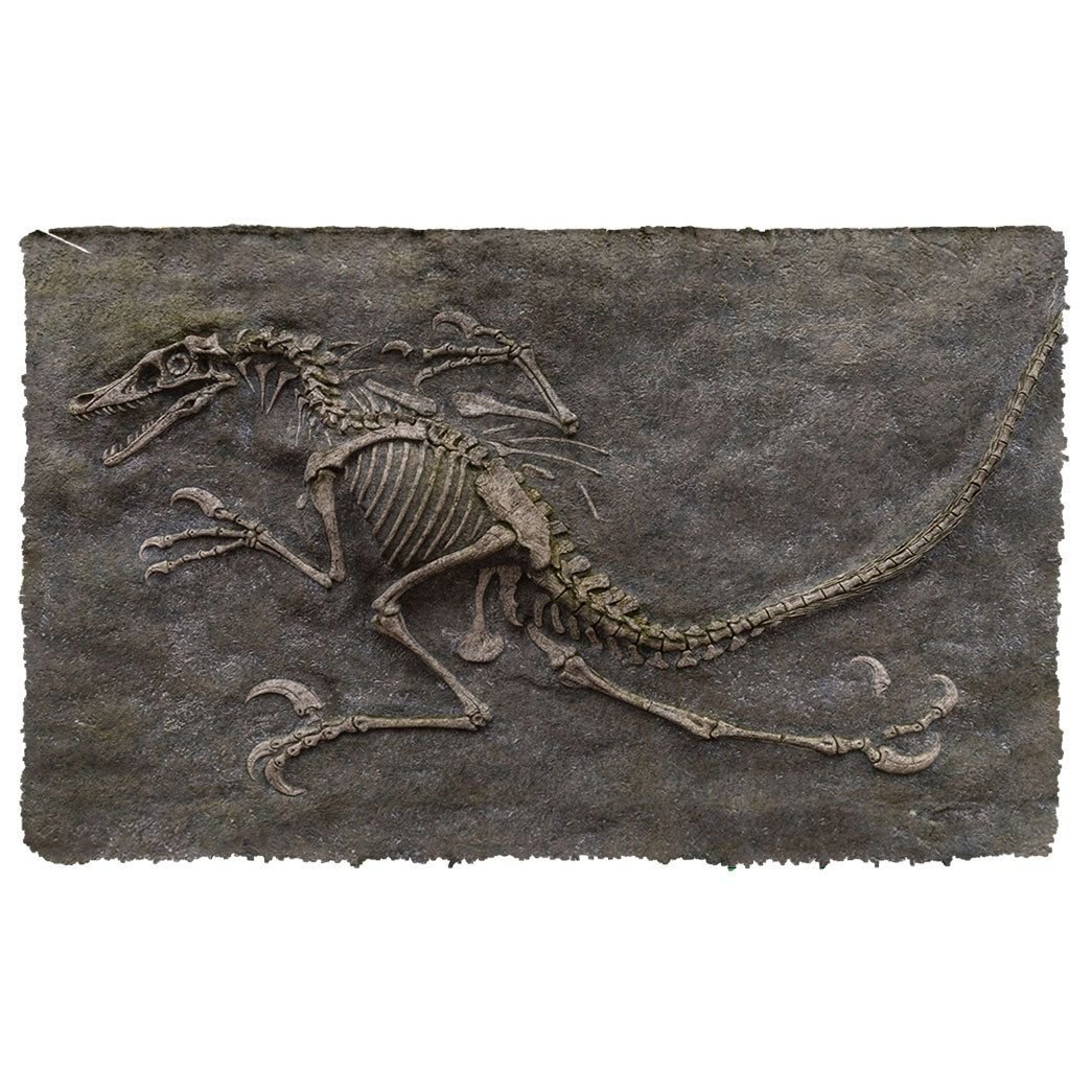 Alohazing 3D Dinosaur Fossil Doormat