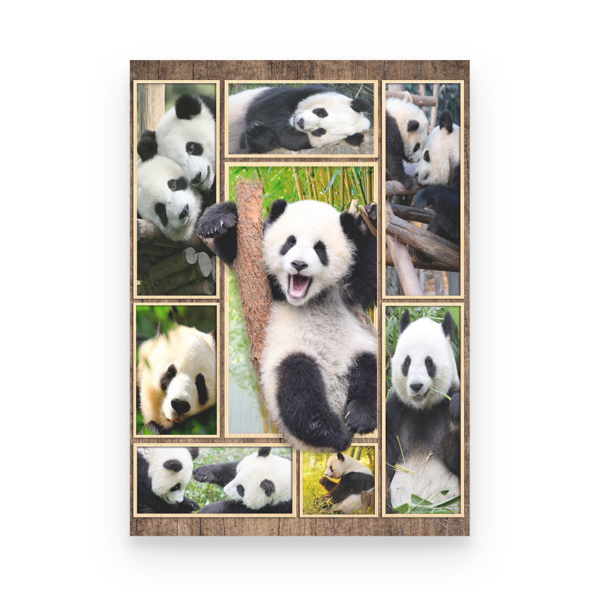 Animal Panda 3D Poster Canvas Home Decor