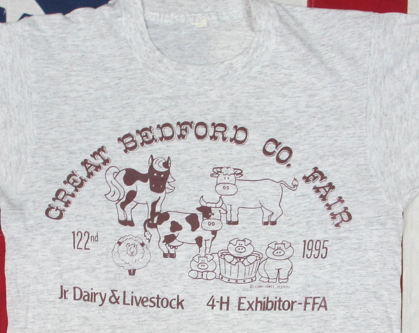 Vintage Well Worn 1990S Great Bedford Co Fair Graphic T Shirt Xs Heather Grey Pennsylvania Soft Farming Cow