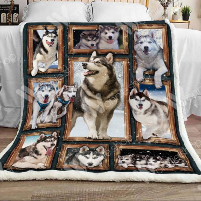 Siberian Husky Dog Sherpa Blanket DCB0301 81O60