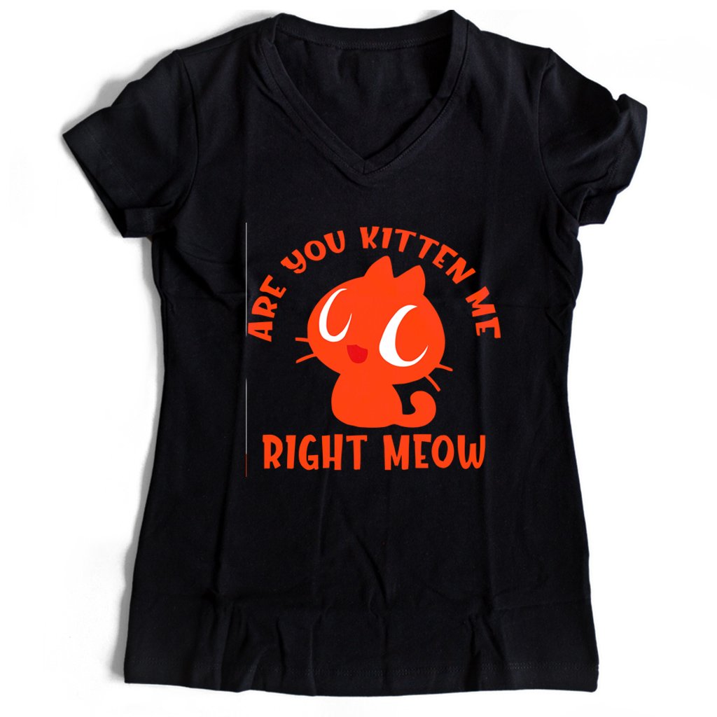 Are You Kitten Me Right Meow Are Women’s V-Neck Tee T-Shirt