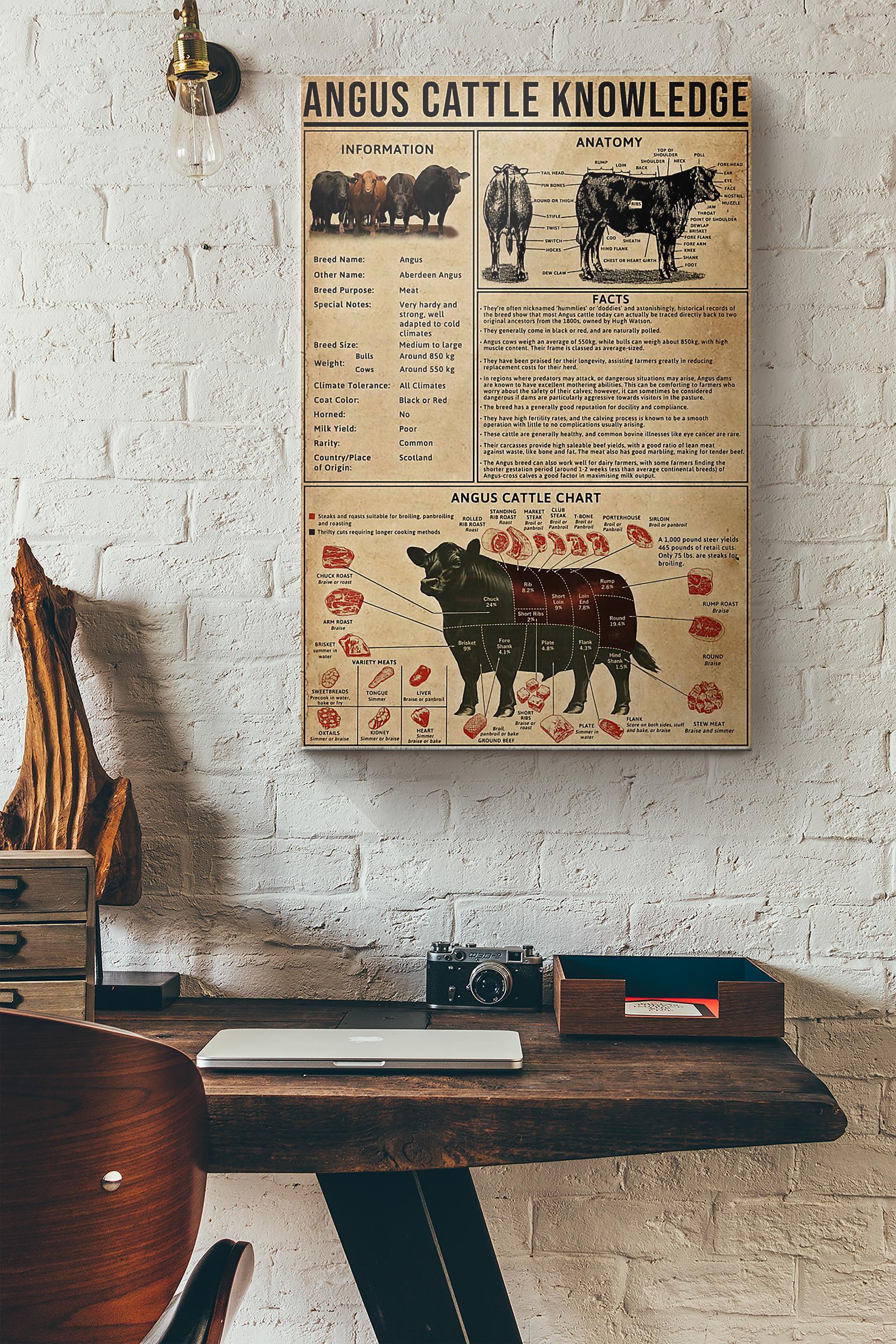 Angus Cattle Knowledge Poster Wrapped Canvas