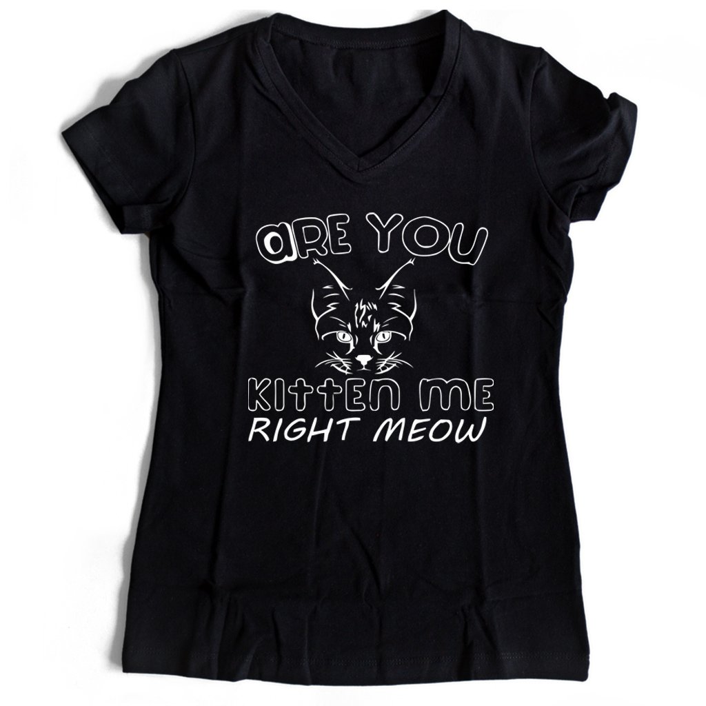 Are You Kitten Me Right Meow Maind Women’s V-Neck Tee T-Shirt