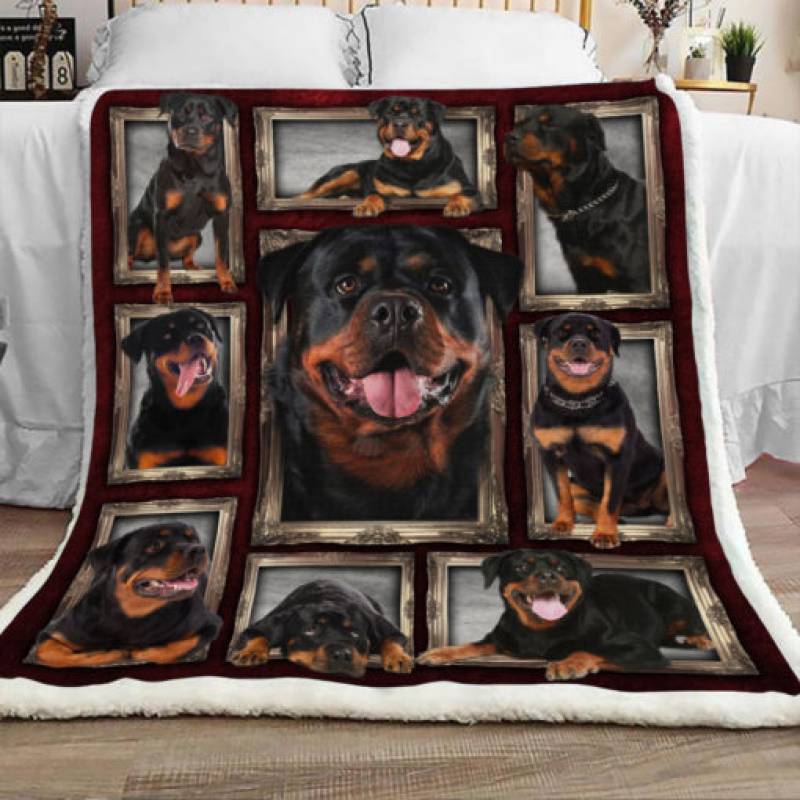 Rottweiler Dog Sherpa Blanket JR0902 78O58