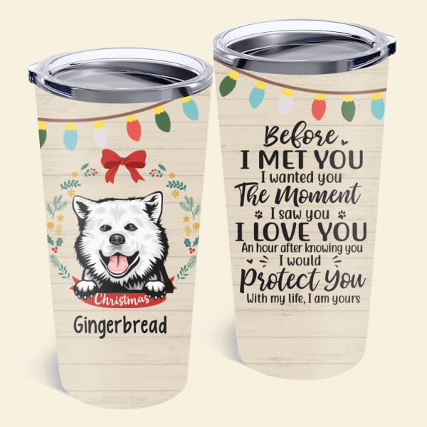 Personalized Tumbler 20Oz, Before I Met You, Christmas Theme, Christmas Gift For Dog Lovers