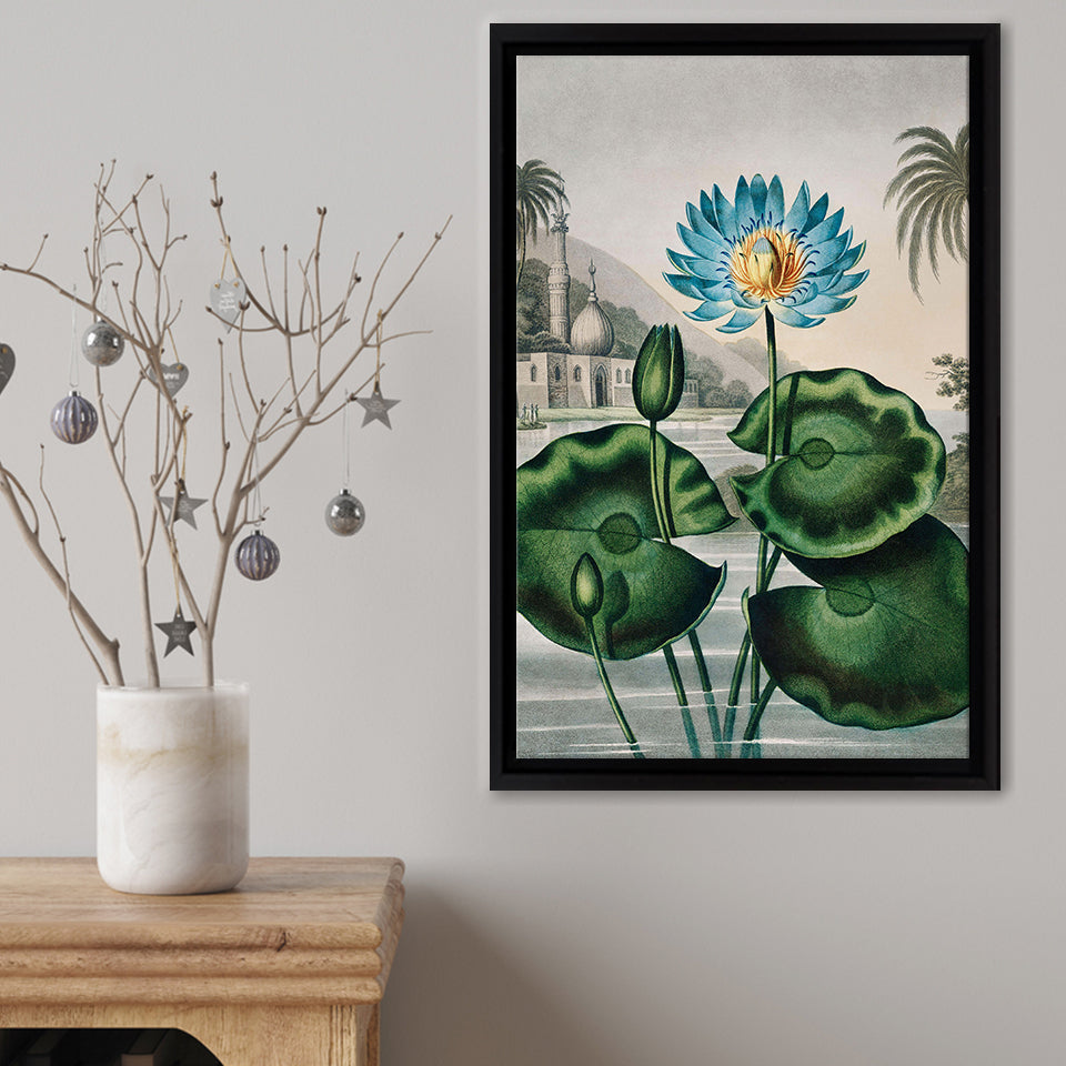 The Blue Egyptian Water-Lily Framed Canvas Print – Canvas Painting, Canvas Art, Wall Art, Wall Decor