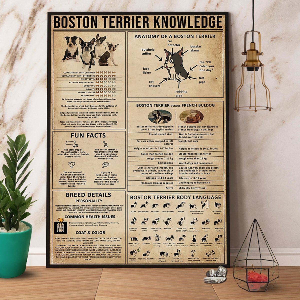 Boston Terrier Knowledge Paper Poster No Frame Matte Canvas Wall Decor