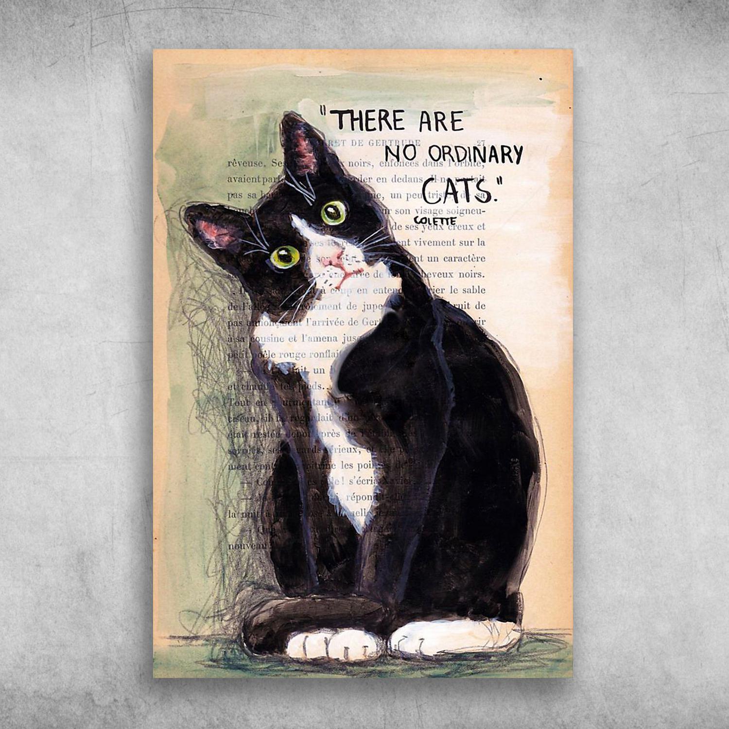 Cute Funny Black Cat There Are No Ordinary Cats Colette Poster Print ...