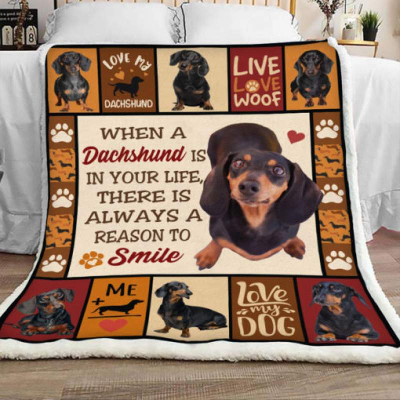 Dachshund Dog Sherpa Blanket JR1601 67O57