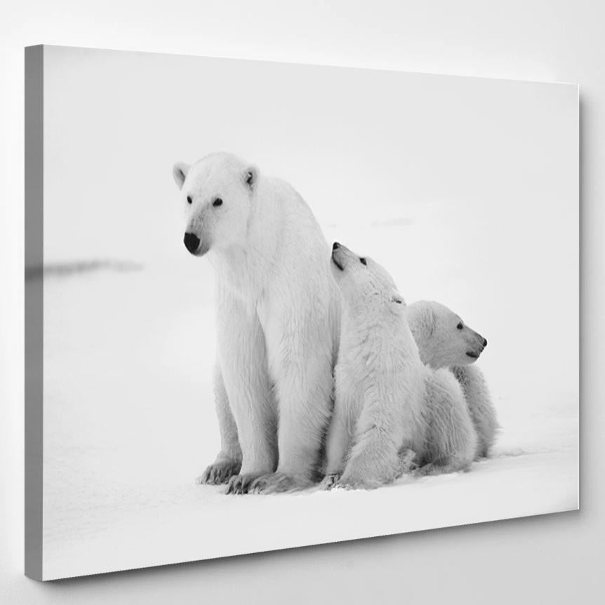 Polar Shebear Cubs Two Kids On 2 – Bear Animals Canvas Print