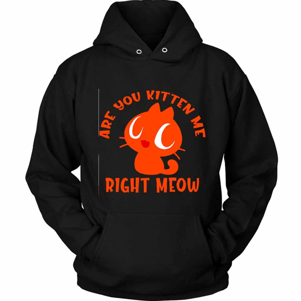 Are You Kitten Me Right Meow Are Unisex Hoodie