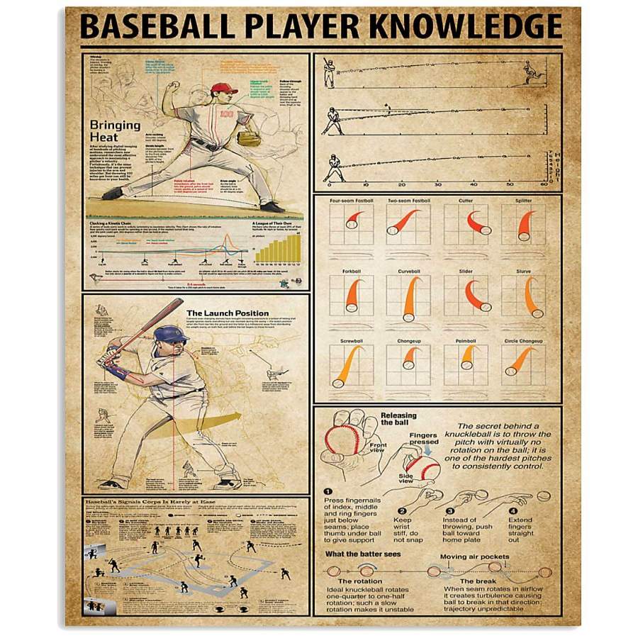 Baseball Player Knowledge Funny Gift Vertical Poster