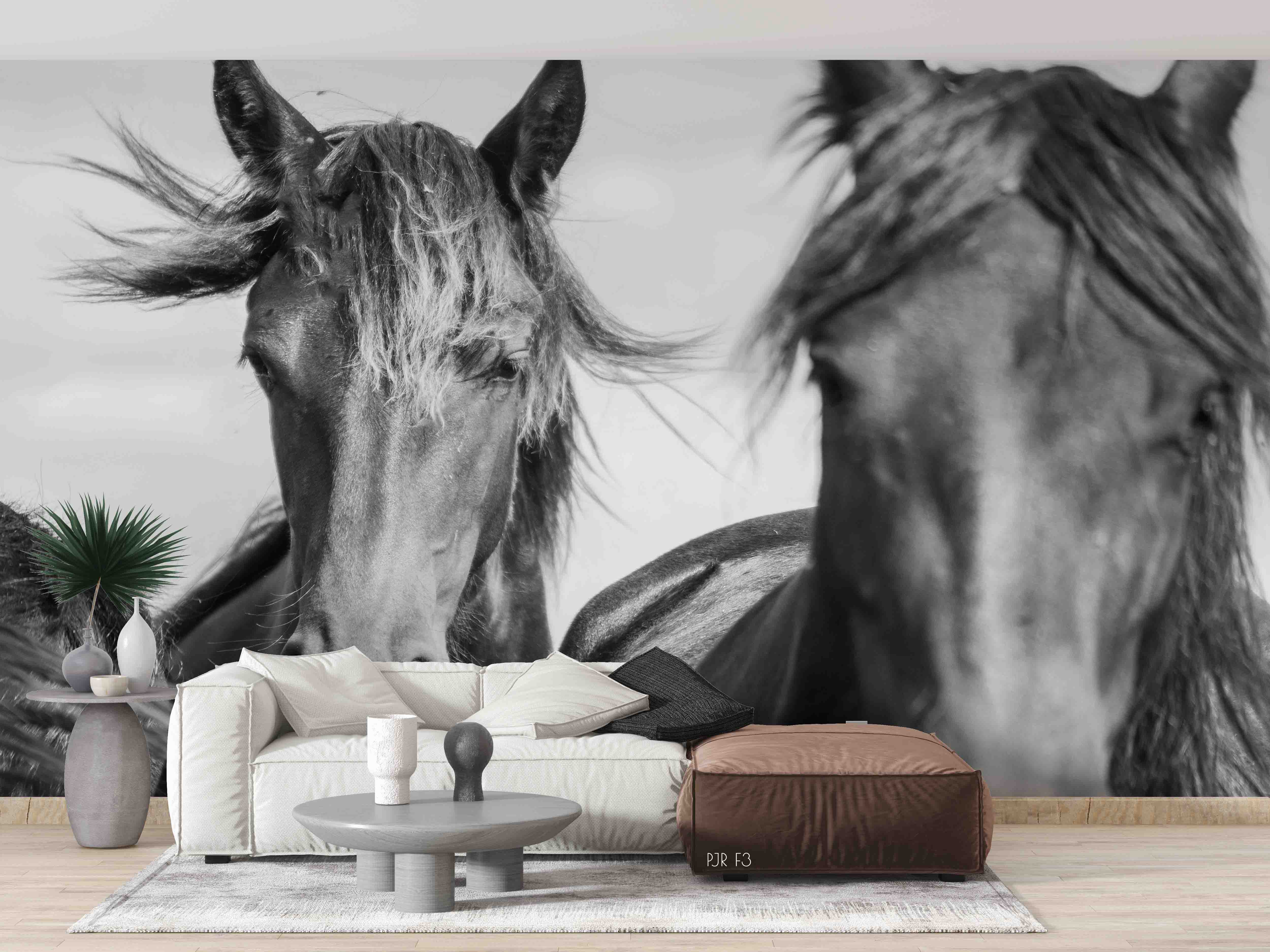 3D Black White Horse Animal Wall Mural Wallpaper Lxl 346