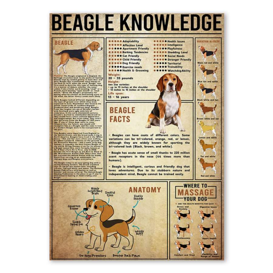 Beagle Knowledge Special Unique Custom Design Canvas Gift For Dog Lovers