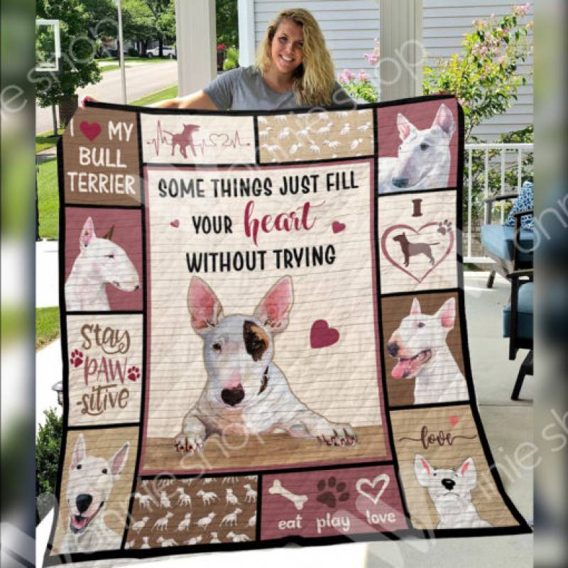 Bull Terrier Dog Blanket DCB3002 67O57