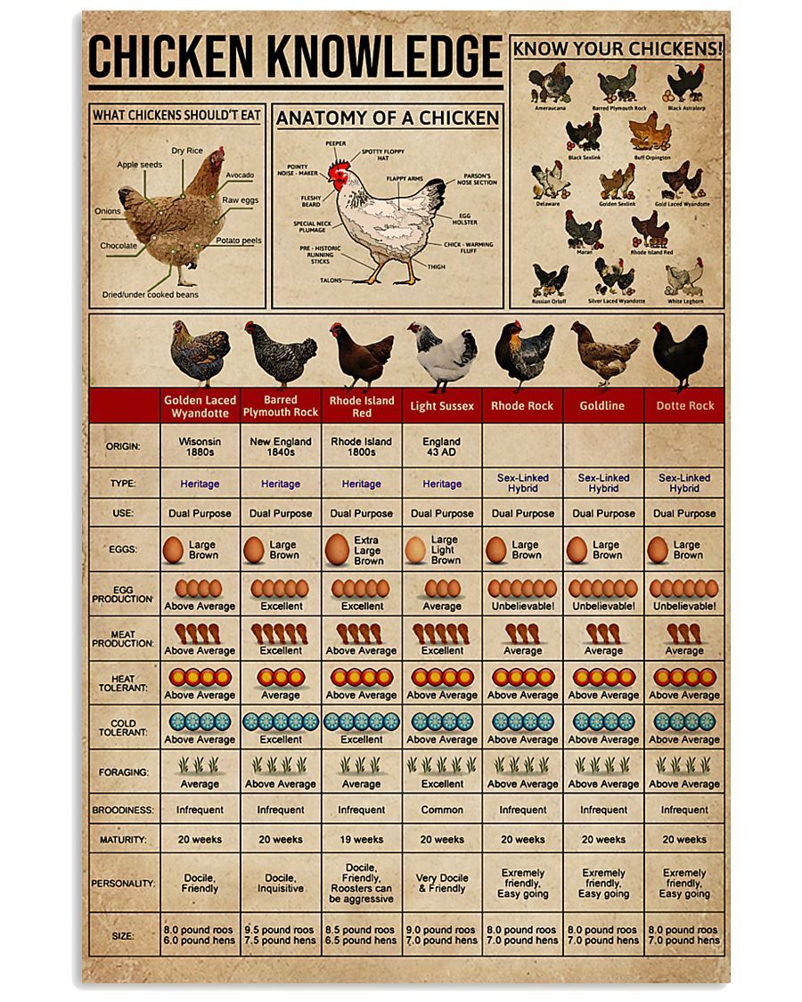 Something You Should Know About Knowledge Chickens Vertical Poster