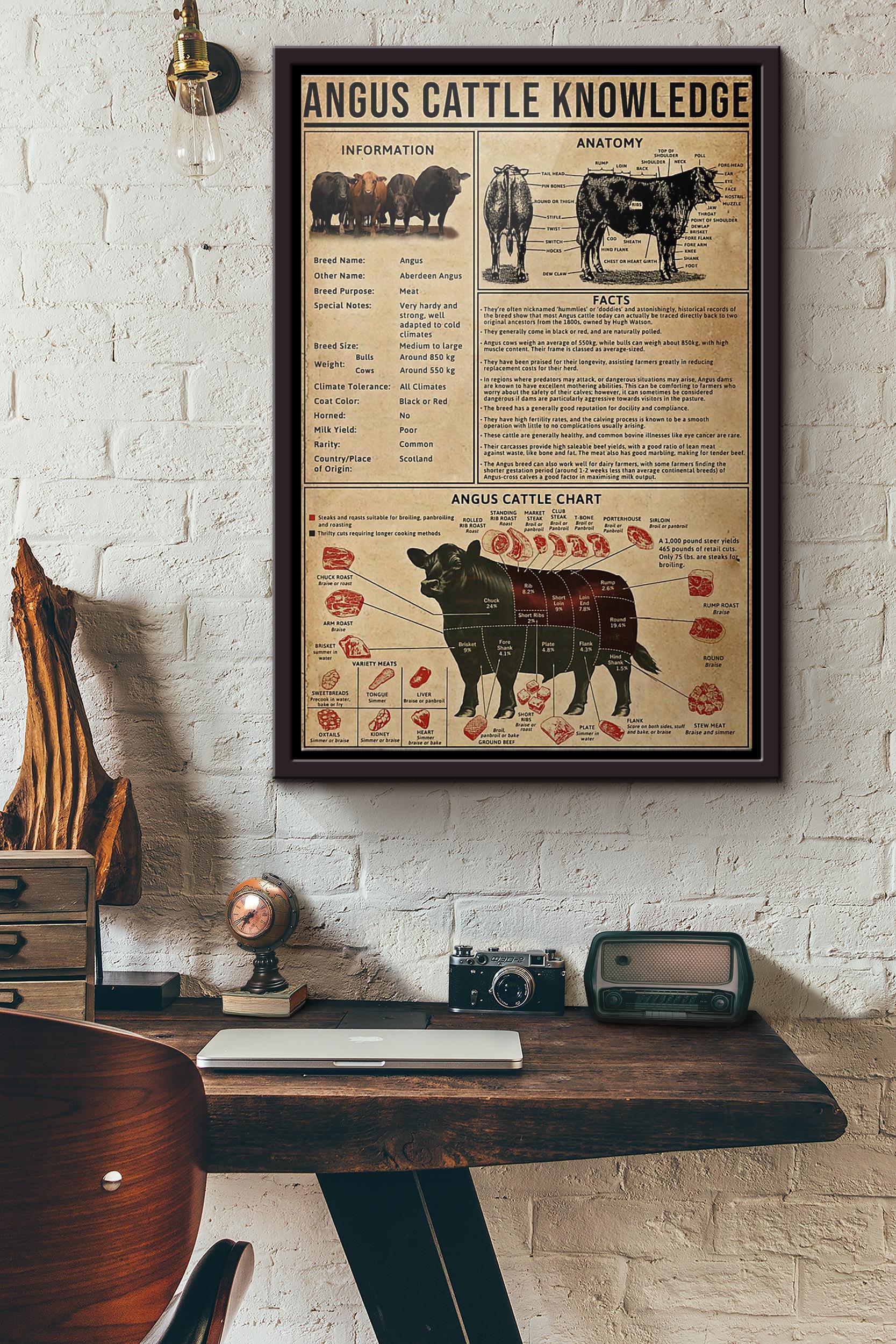 Angus Cattle Knowledge Poster Framed Matte Canvas