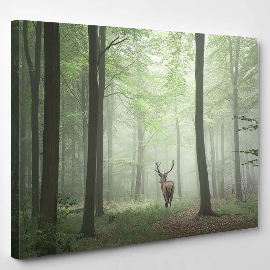 Stunning Image Red Deer Stag Foggy 2 – Deer Animals Canvas Print