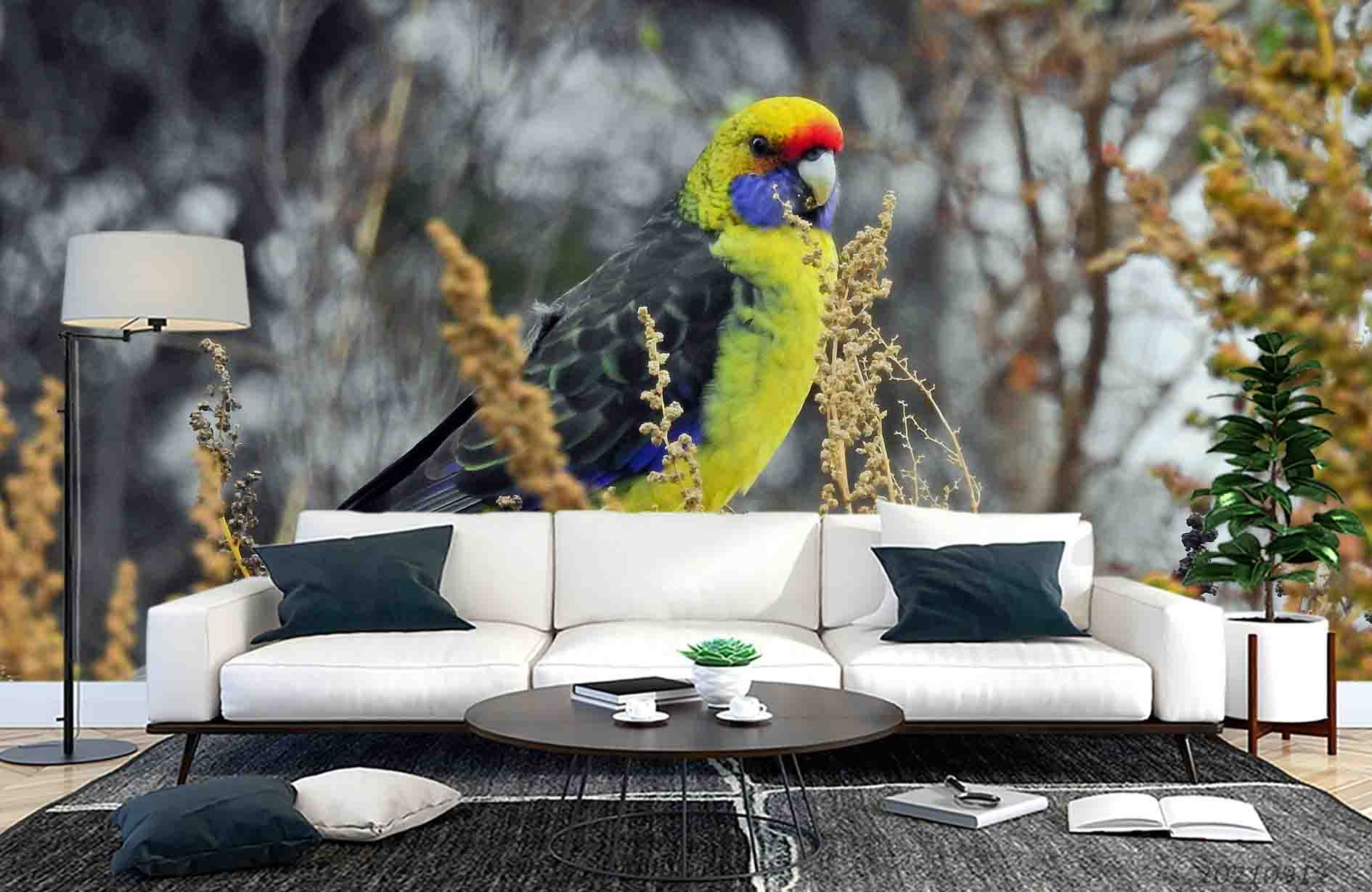 3D Forest Animal Bird Wall Mural Wallpaper Lqh 311