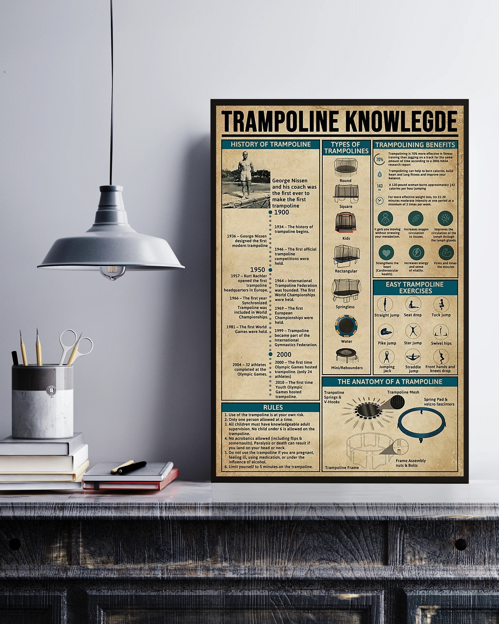 Trampoline Knowledge Unframed Canvas Poster Wall Art