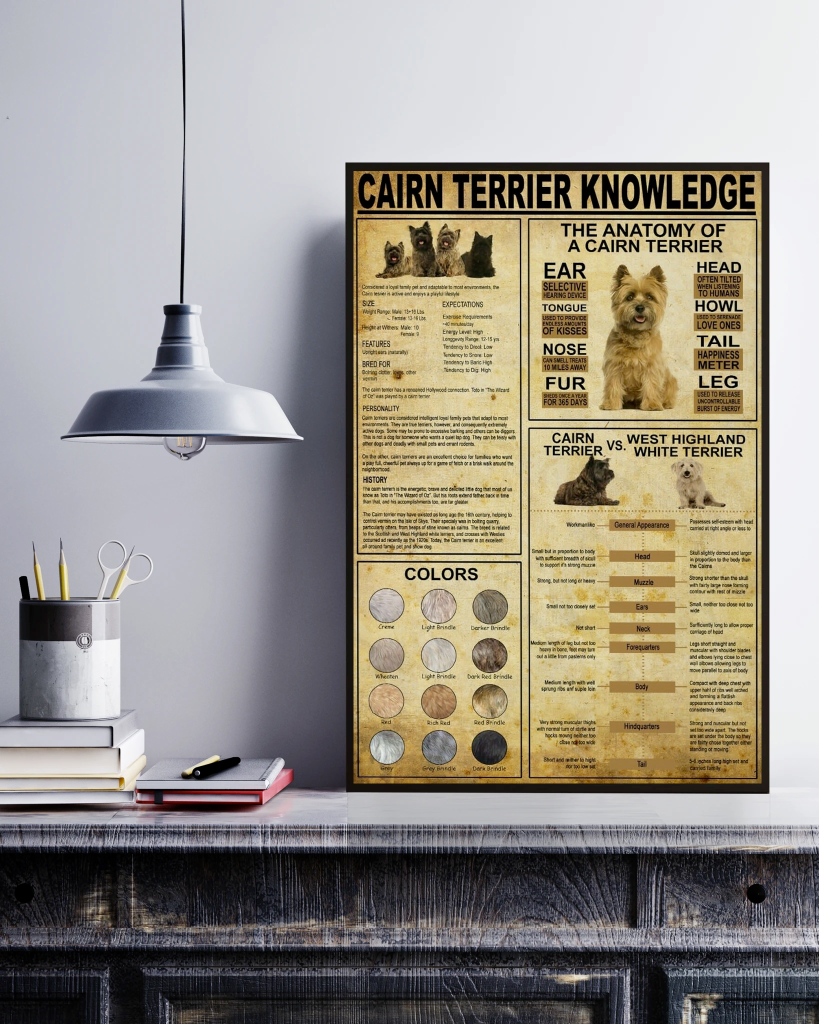 Cairn Terrier Knowledge Poster