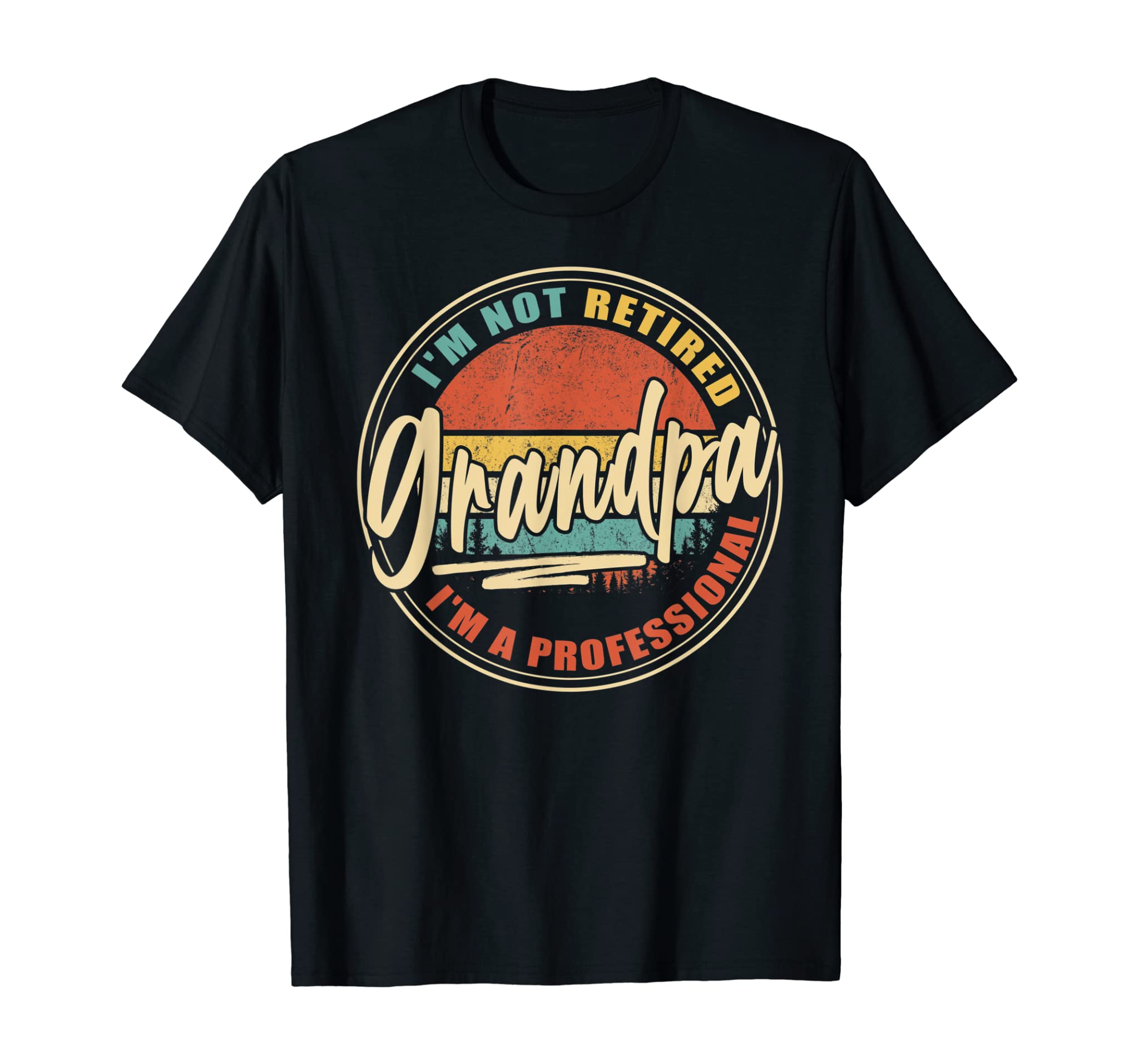 Mens Vintage Retro Gifts I’m not retired I’m Professional Grandpa T-Shirt