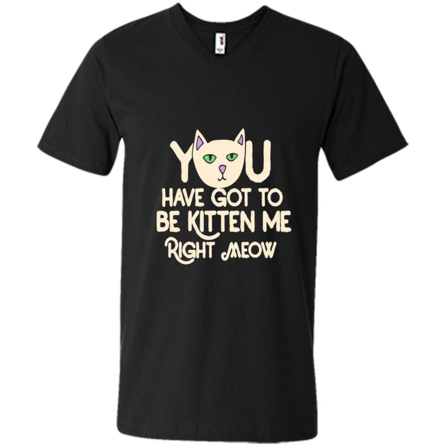 You have got to be Kitten me right meow shirt funny cat shirt