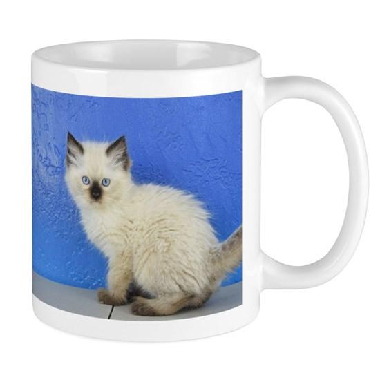 Sven – Seal Point Ragdoll Kitten Mug