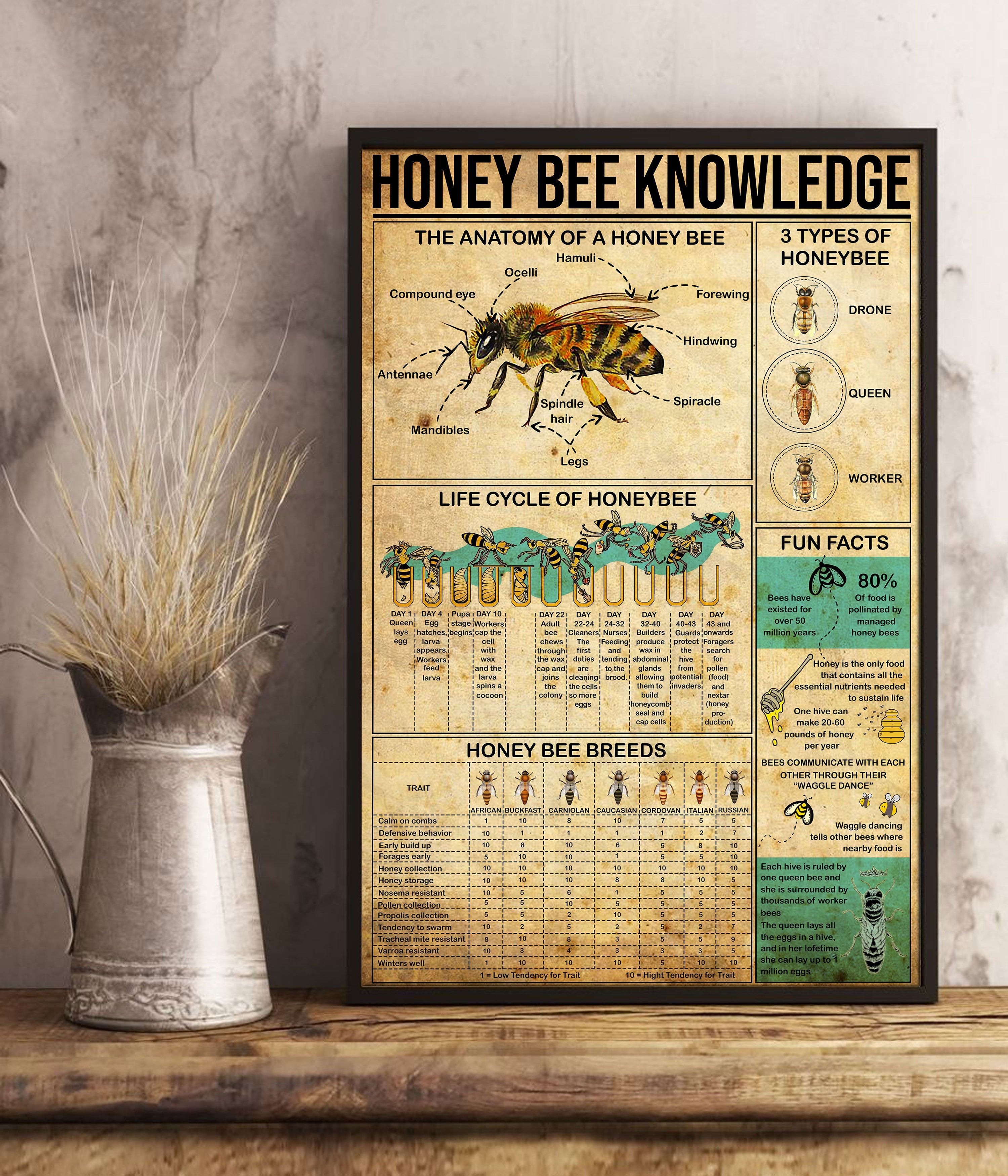 Bee Knowledge Vertical  Paper Poster No Frame Matte Canvas Wall Decor