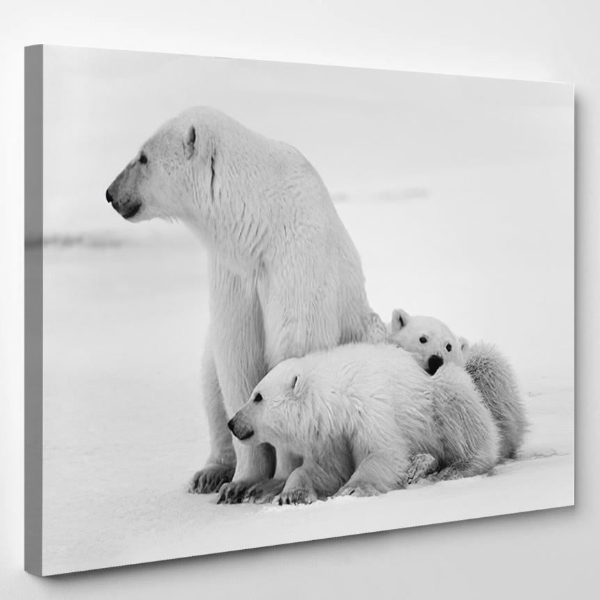 White Shebear Cubs Polar Two Small – Bear Animals Canvas Print