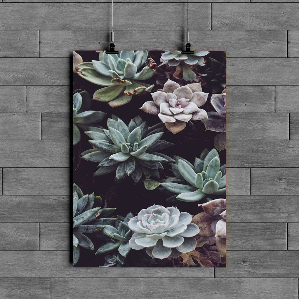 plant backgrounds poster - Poster Art Design