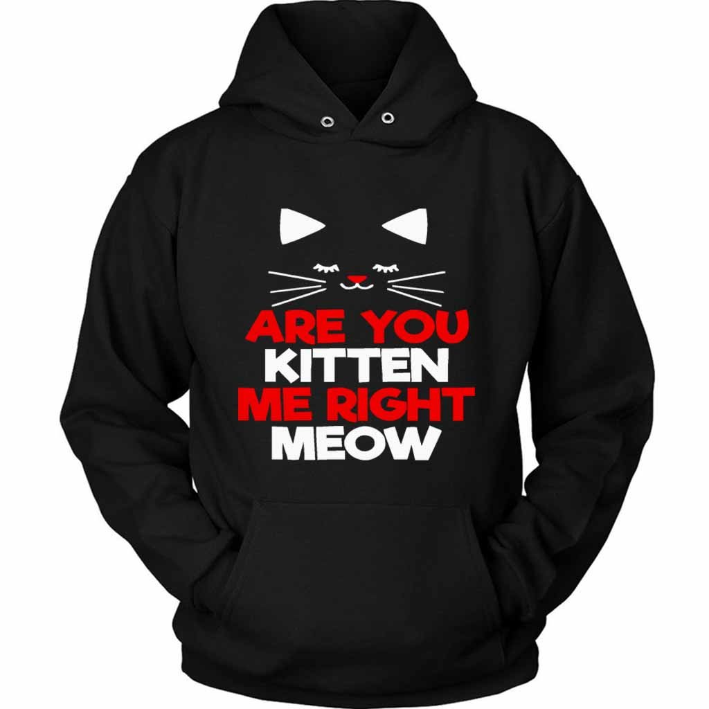 Are You Kitten Me Right Meow Lovers Unisex Hoodie