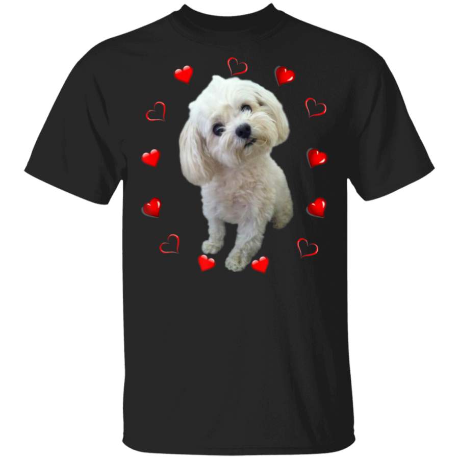 Maltese Dog Lover Puppy Owner Maltipoo Mix Fans Hearts Gift TShirt