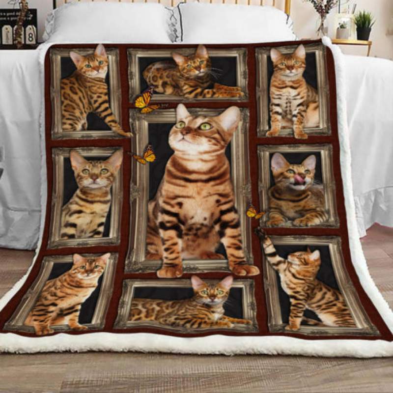 Bengal Cat Sherpa Blanket JR2201 70O57