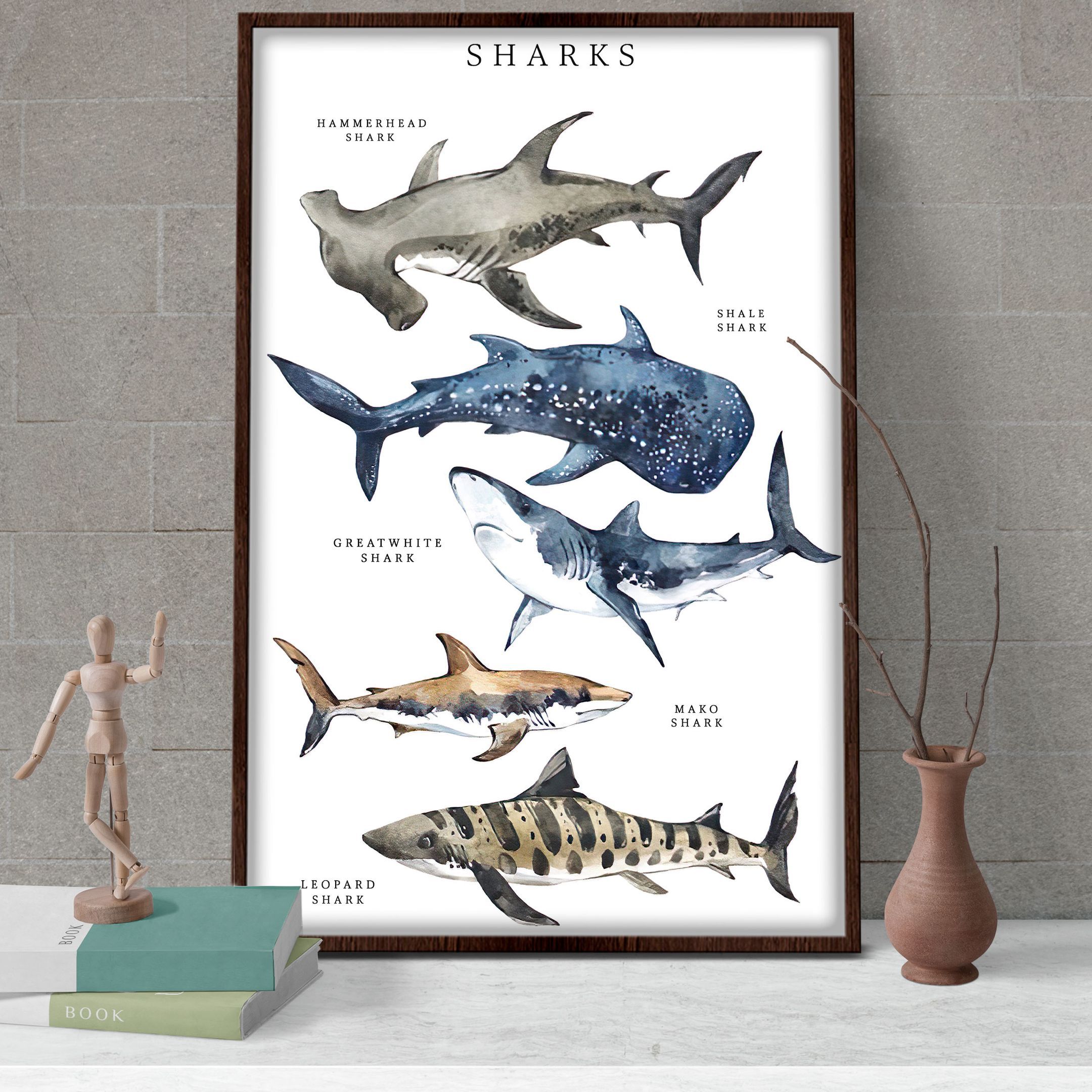 B2005 T288 Types Of Sharks Poster & Canvas