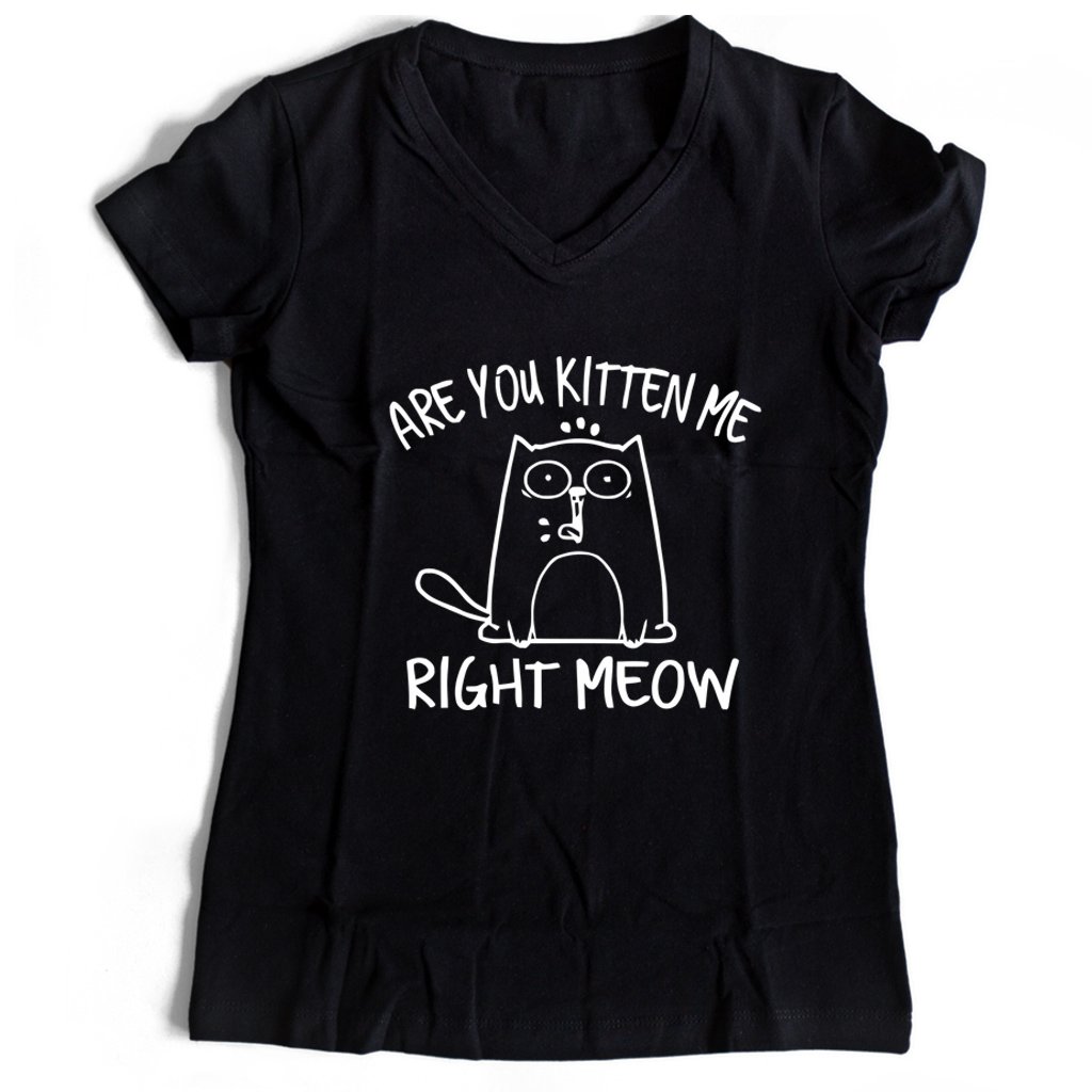 Are You Kitten Me Right Meow Cute Women’s V-Neck Tee T-Shirt