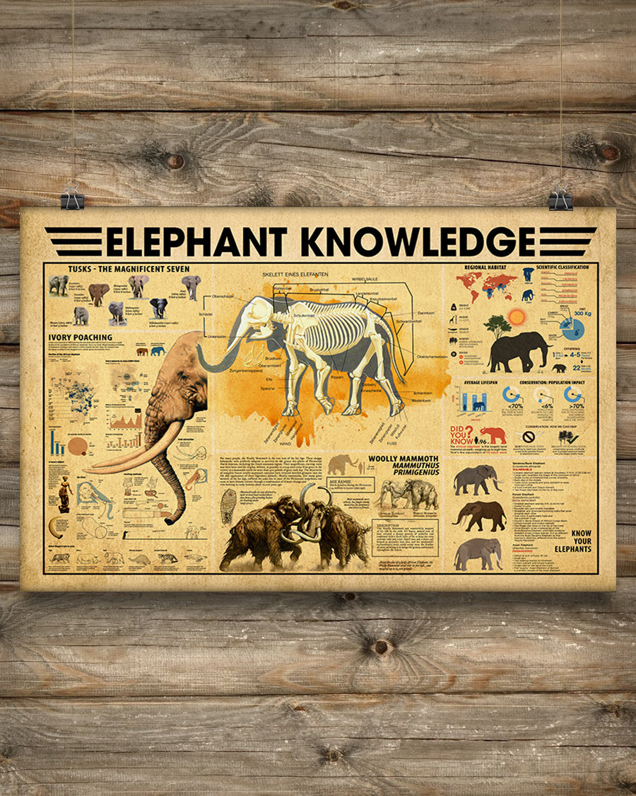 Unframed Poster Wall Art Elephant Knowdge Poster