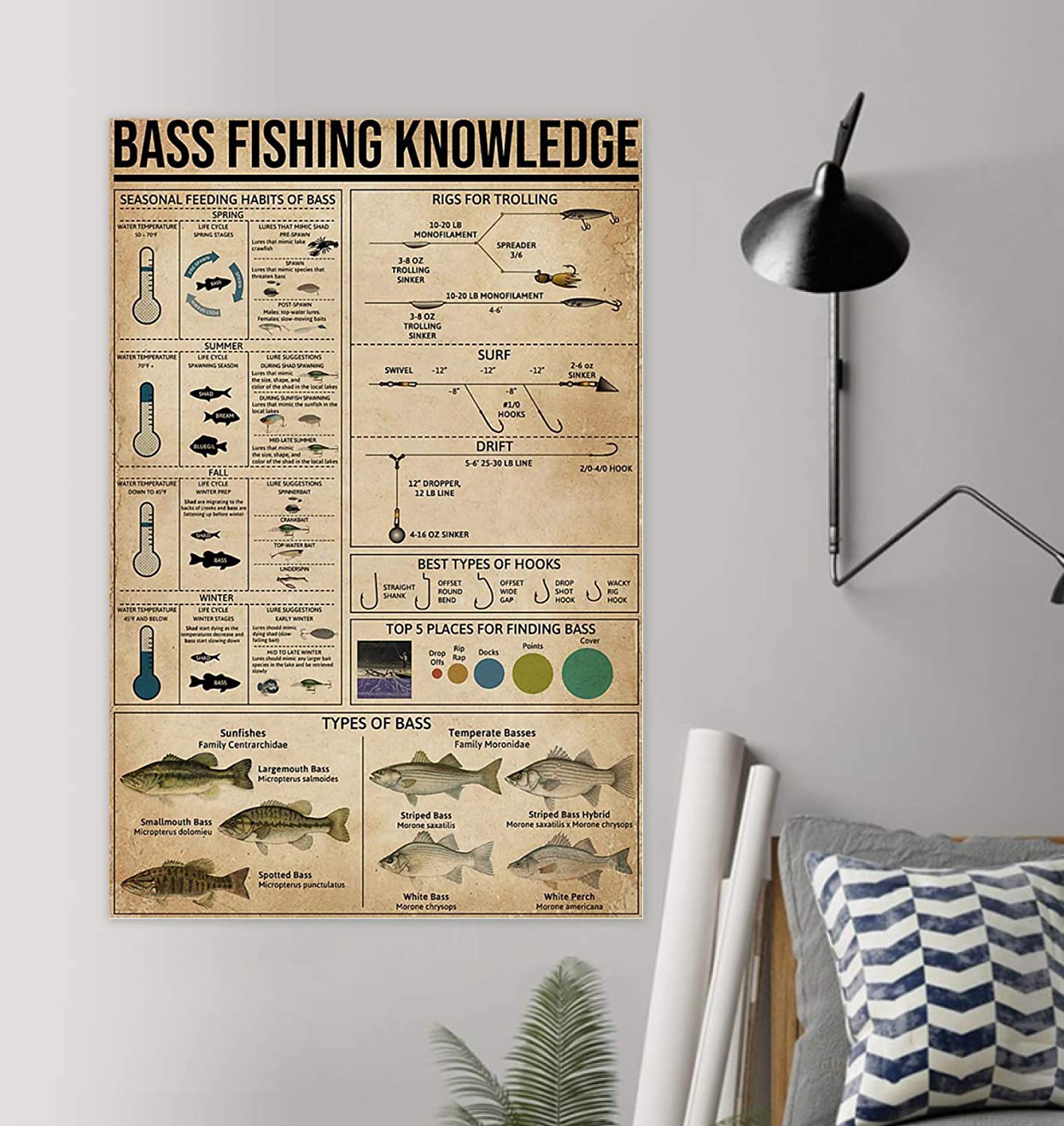 Bass Fishing Knowledge Poster Decoration Poster Wall No Frame