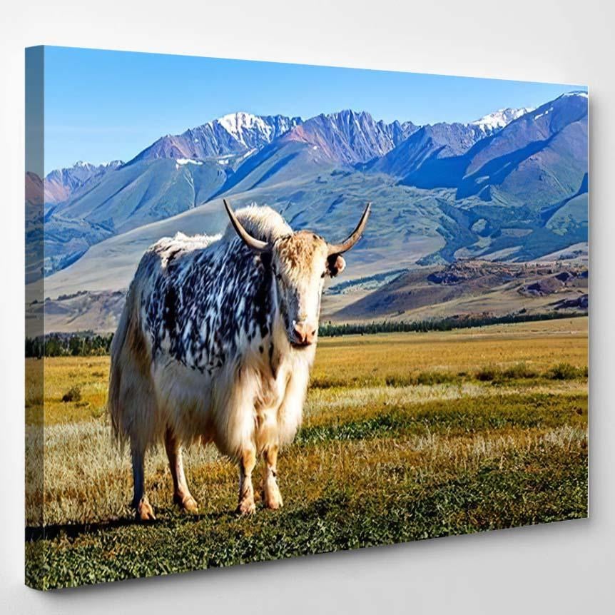 White Black Yak Alpine Mountains Himalayan 1 – Bison Animals Canvas Print