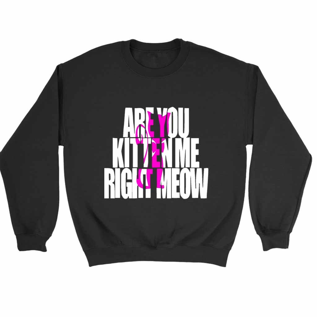 Are You Kitten Me Right Meow One Sweatshirt Sweater