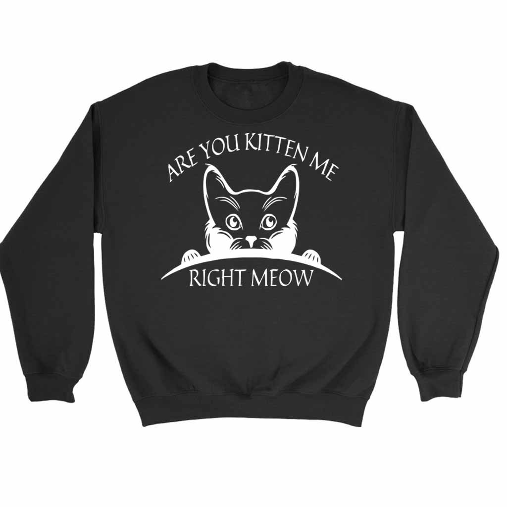 Are You Kitten Me Right Meow Cool Sweatshirt Sweater