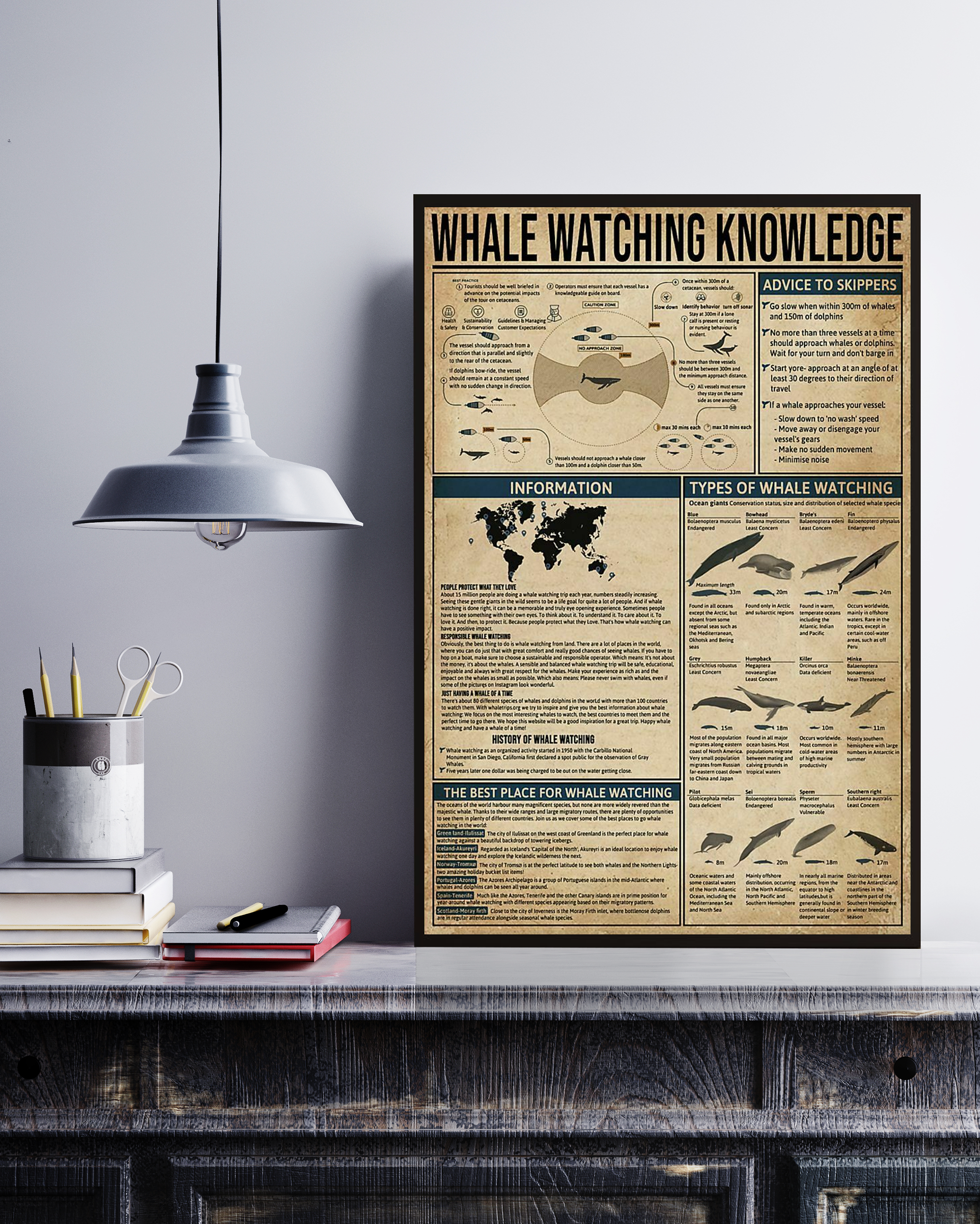 Whale Watching Poster Portrait Knowledge Poster No Frame