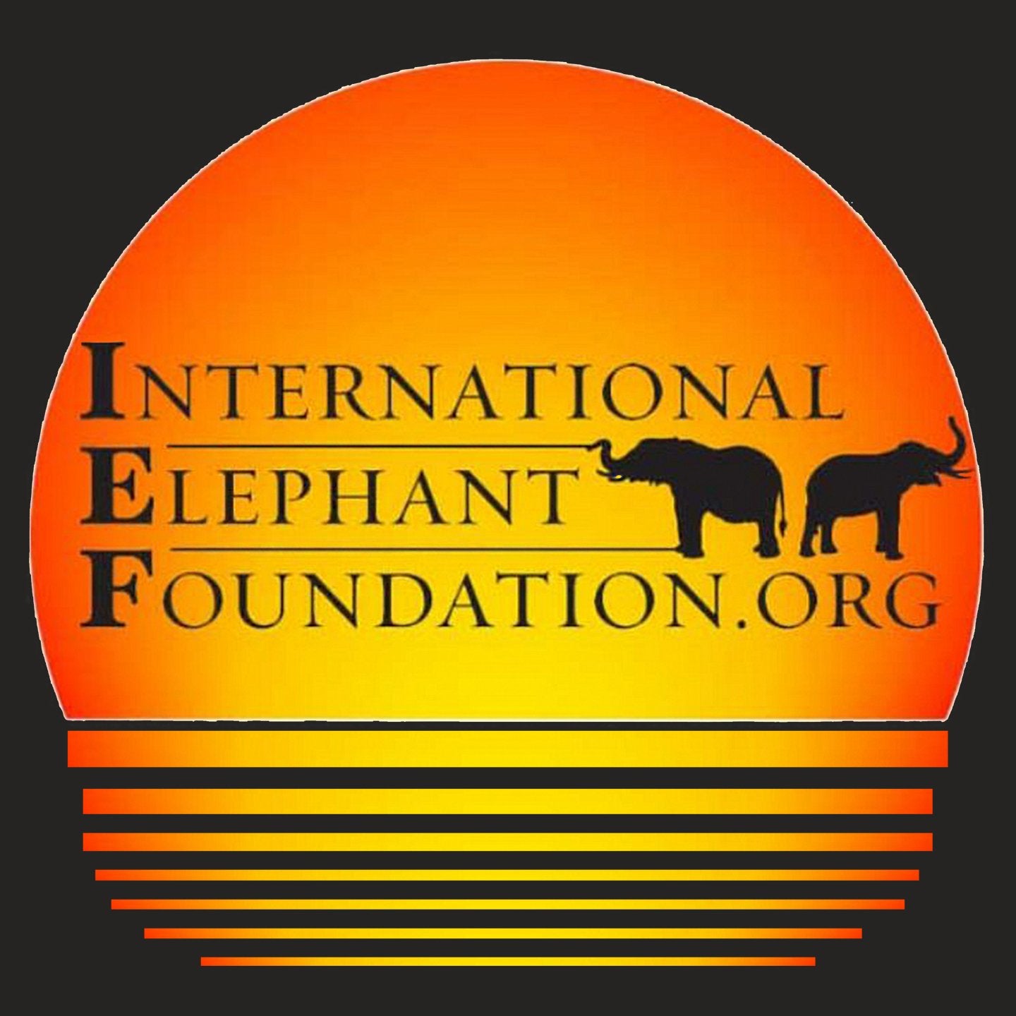 International Elephant Foundation Sunset Logo – Women’s V-Neck Long Sleeve T-Shirt