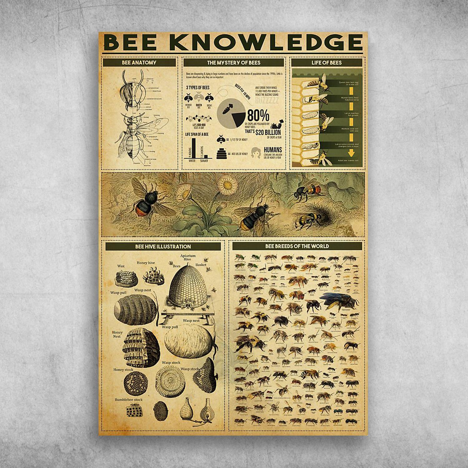 Bee Knowledge Bee Anatomy The Mystery Of Bees Life Of Bees Poster Print Wall Art Canvas Wall Decor